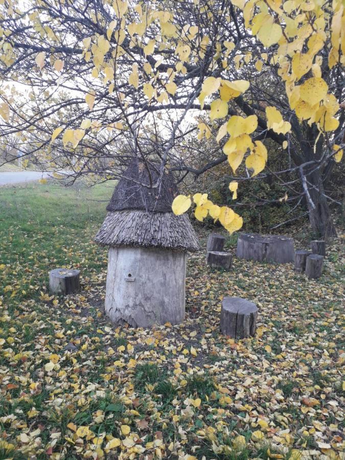 Медова Садиба Subbotiv Luaran gambar