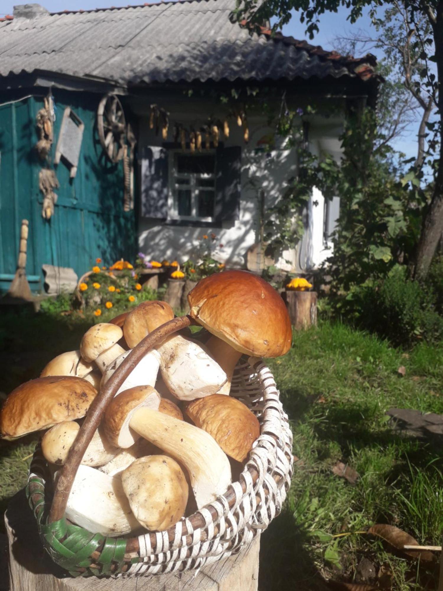 Медова Садиба Subbotiv Bilik gambar